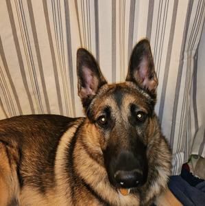 Meet your Posher, Crystal